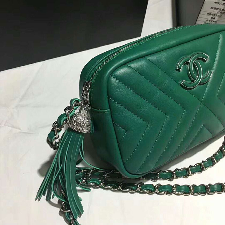 2018 Chanel Camera Case