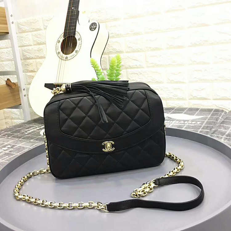 2019 Chanel camera case