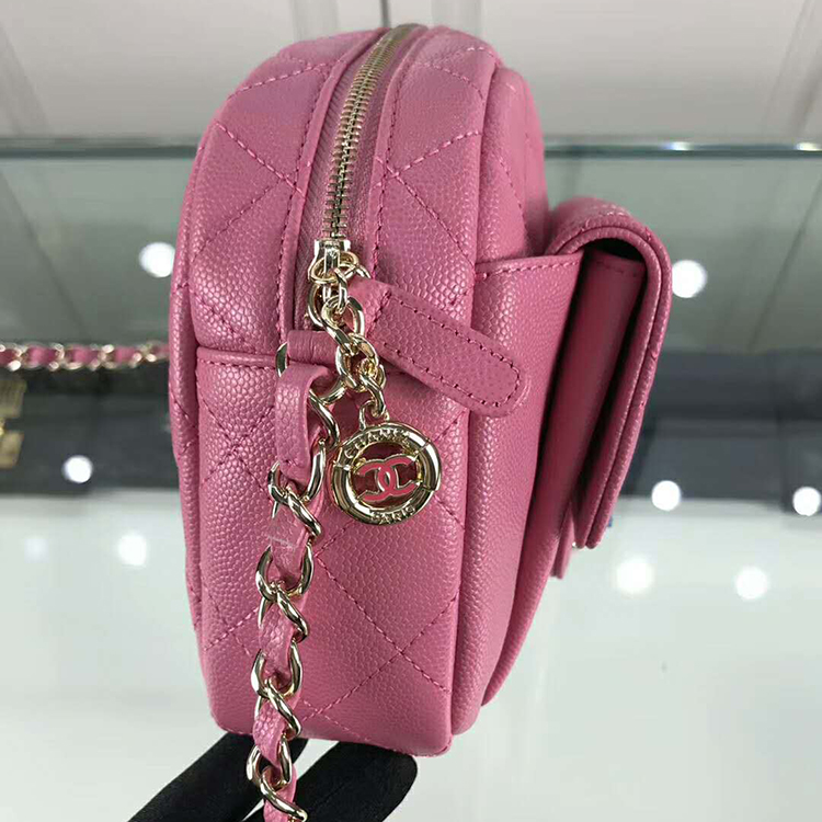 2019 Chanel camera case