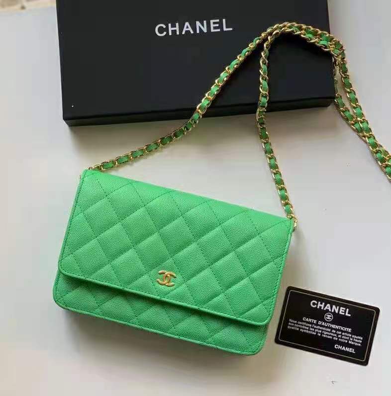 2021 Chanel 19 WOC Mini Flap Bag