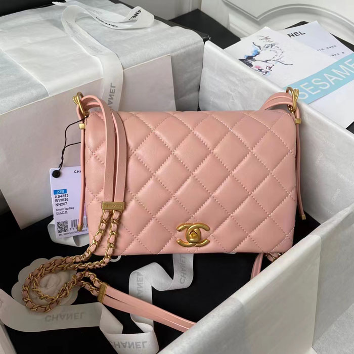2023 Chanel Flap Bag