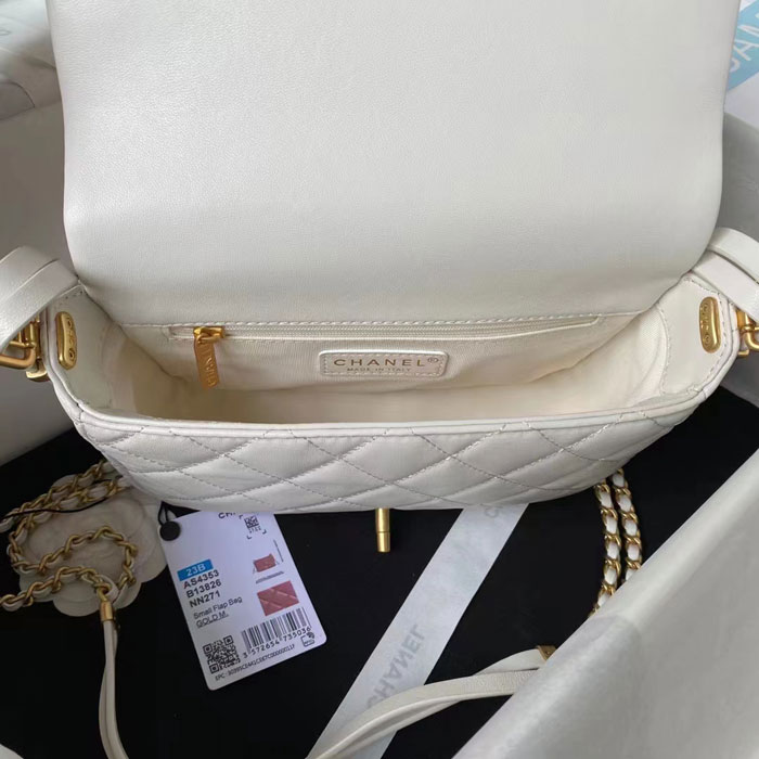 2023 Chanel Flap Bag