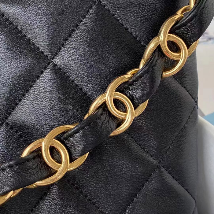 2023 Chanel Hobo Handbag