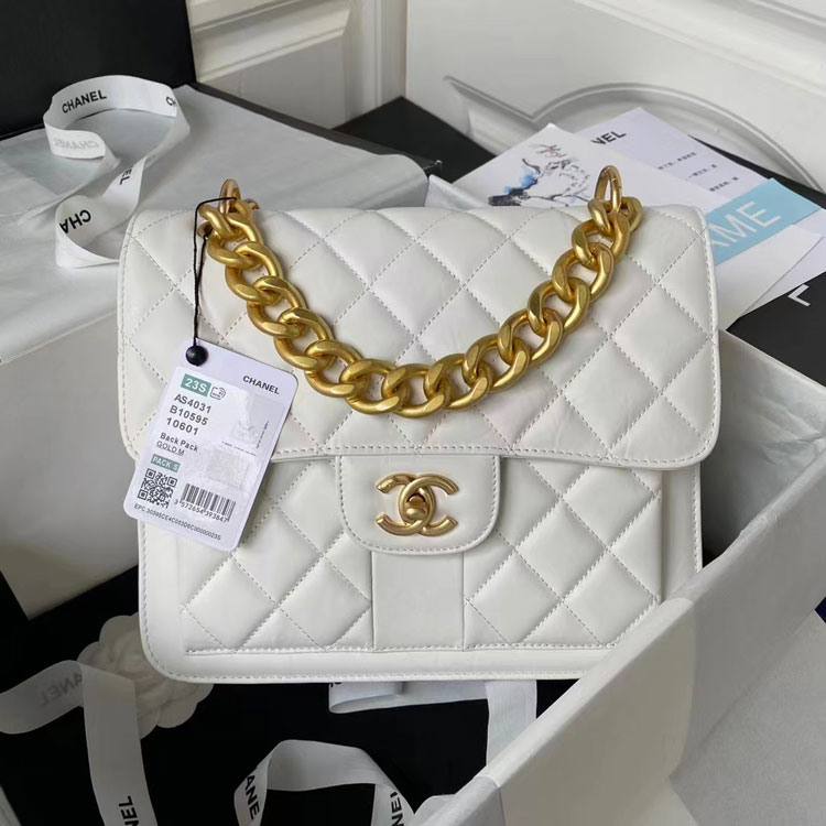 2023 Chanel MESSENGER BAG