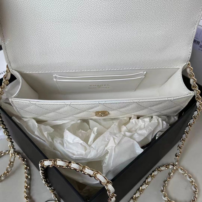 2023 Chanel MINI FLAP BAG WITH TOP HANDLE