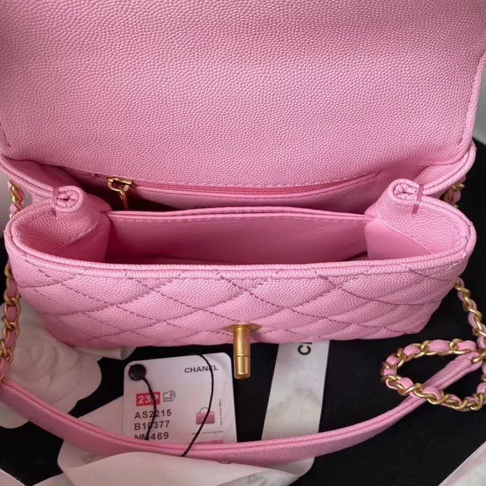 2023 Chanel MINI FLAP BAG WITH TOP HANDLE