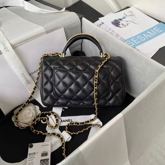 2023 Chanel Mini Flap Bag With Top Handle