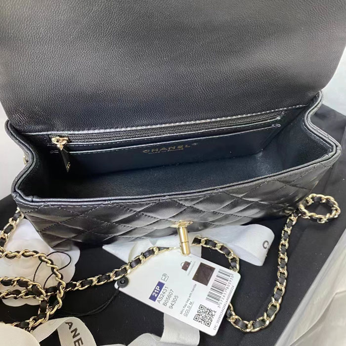 2023 Chanel Mini Flap Bag With Top Handle