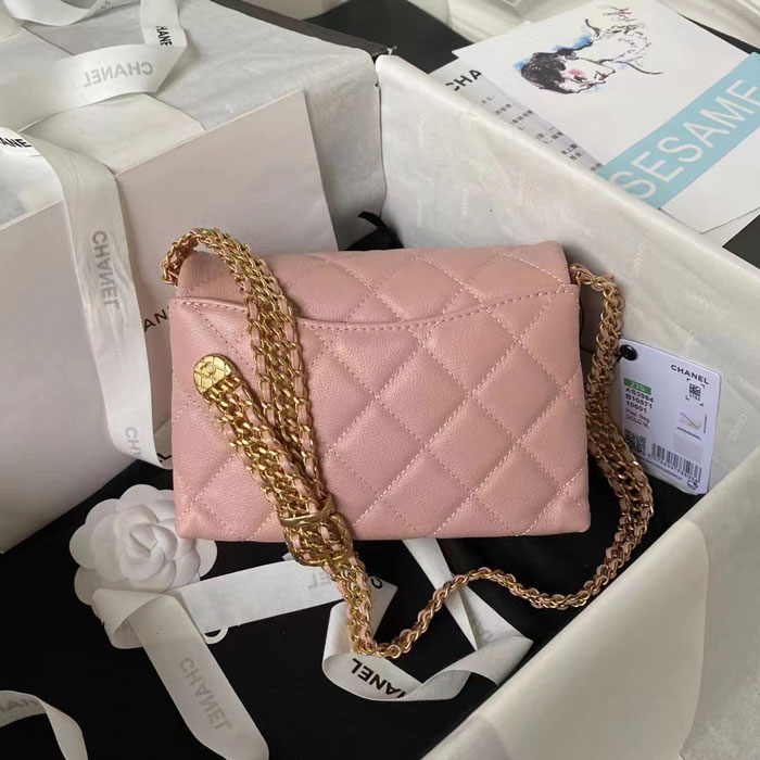 2023 Chanel Small Flap Bag