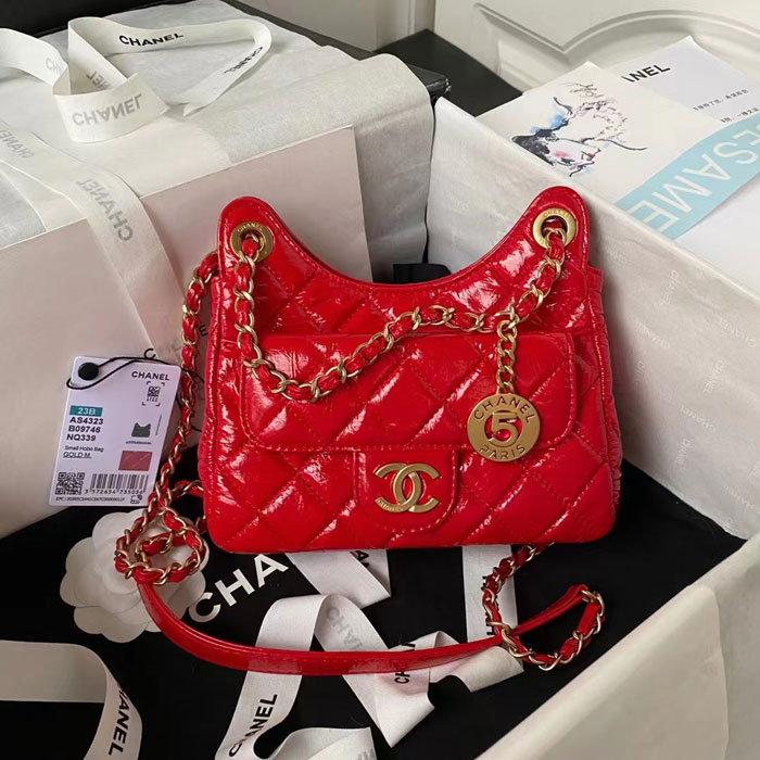 2023 Chanel Small Hobo Handbag