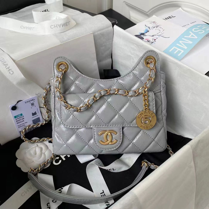 2023 Chanel Small Hobo Handbag