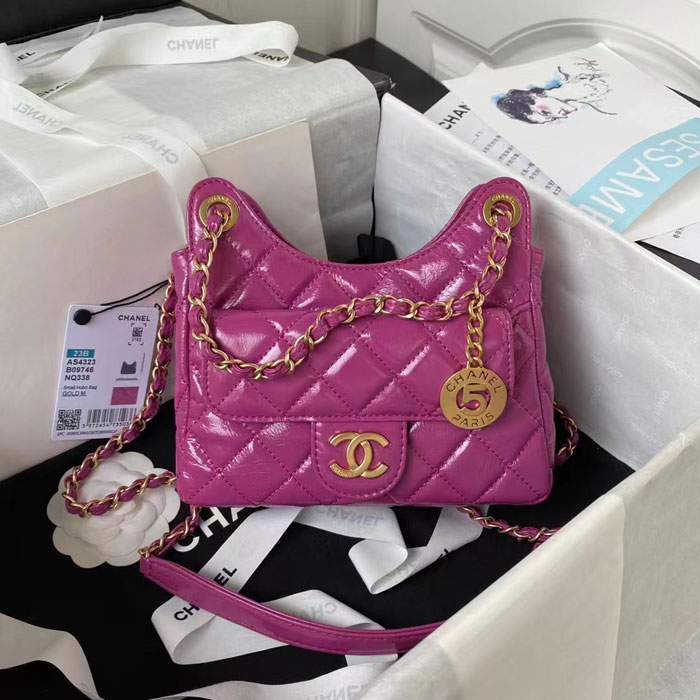 2023 Chanel Small Hobo Handbag
