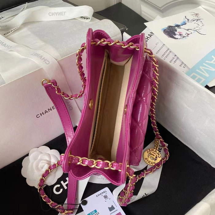 2023 Chanel Small Hobo Handbag
