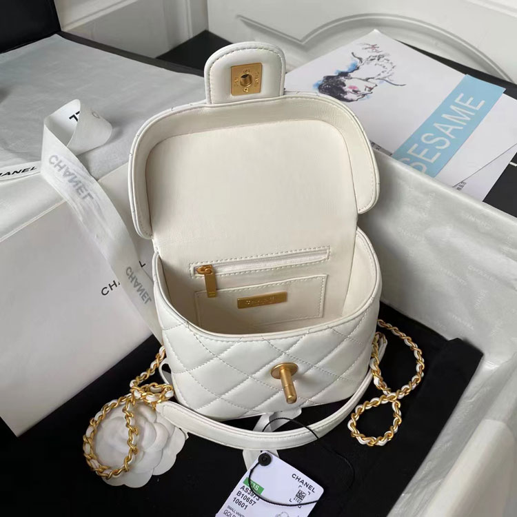 2023 Chanel Small Vanity Case