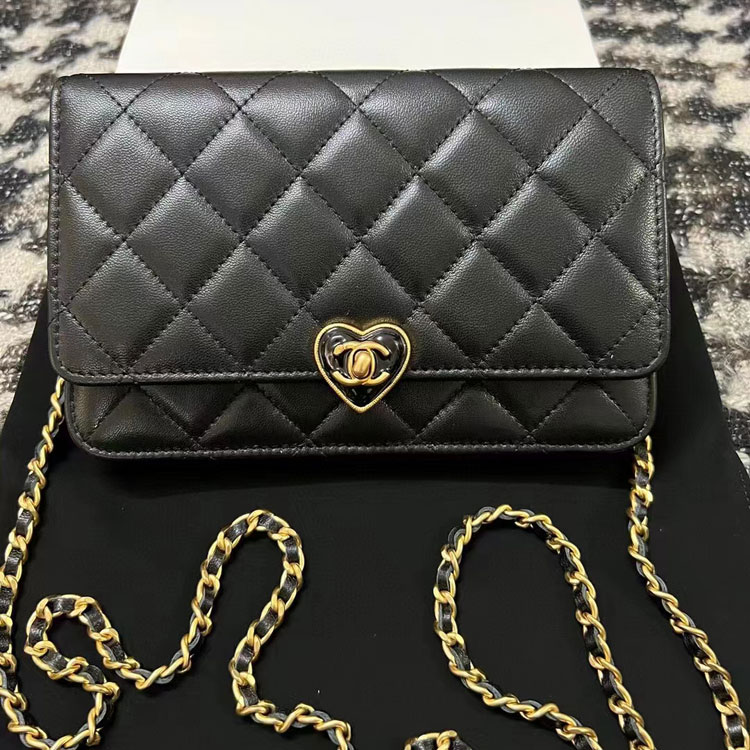 2023 Chanel WALLET ON CHAIN