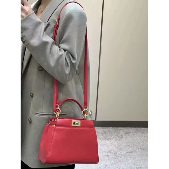 2023 Fendi Lconic Peekaboo