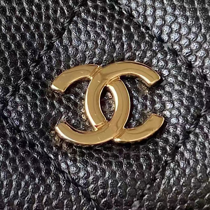 2024 Chanel BACKPACK