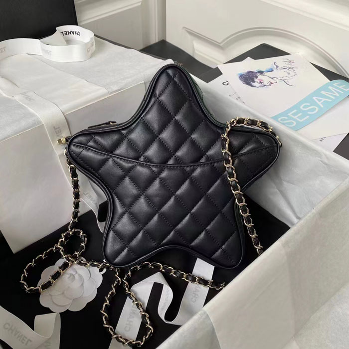 2024 Chanel STAR HANDBAG