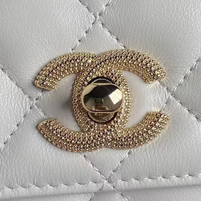 2025 Chanel WALLET ON CHAIN
