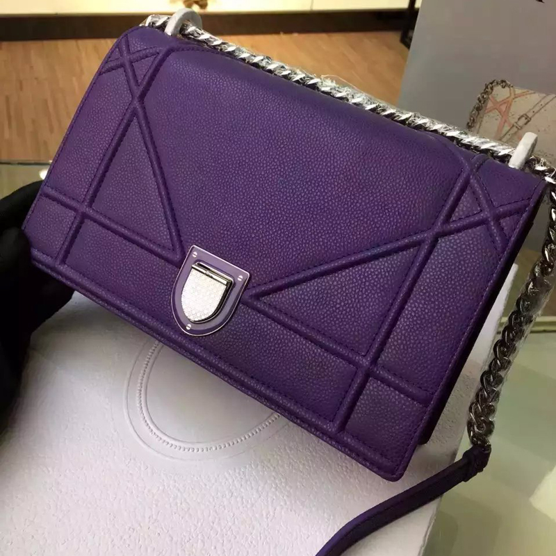 Diorama flap bag