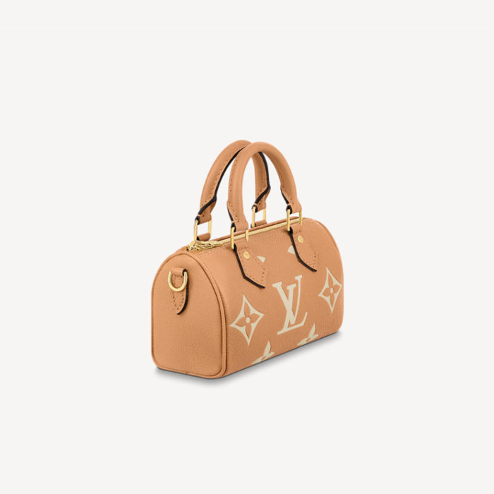 Louis vuitton NANO SPEEDY