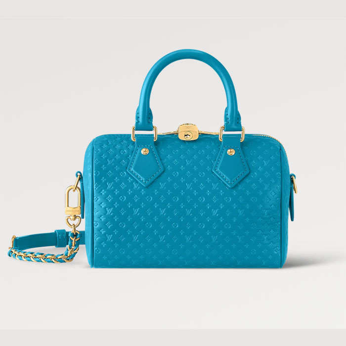 Louis vuitton Seedy Bandouliere 20